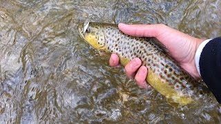 Spring Trout Fishing  with Spinners, Spoons, and Plastics
