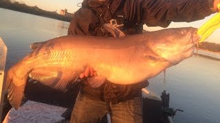 Personal Best Catfish Caught from the Tennessee River!!!
