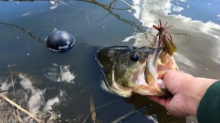 Exploring New Waters and Finding Big Bass!