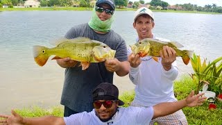 Peacock Bass Fishing in Florida! (ft. BlacktipH and Monster Mike)