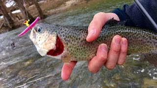 Trout Fishing with Pink Worms?