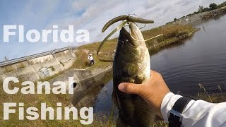 Bank Fishing Florida Canals for Bass and Bowfin