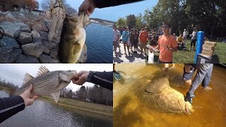 1Rod1ReelFishing's Top 20 Catches of 2015