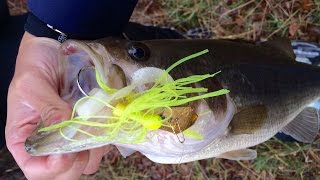 Christmas Bass Fishing with Chatterbaits in Cold Muddy Water