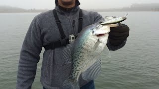 Multi-Species Fishing at Little Seneca Lake - Bass, Perch, Crappie - MD