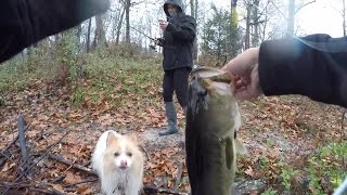 Rainy Day Bass Fishing with my Sister and Her Puppy Dixon