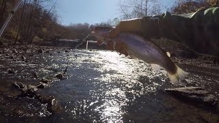 How to Fish for Trout in a River/Creek by 1Rod1ReelFishing