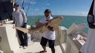 First Ever SHARK Fishing trip!!! (ft. Monster Mike & BlacktipH) Miami, Florida
