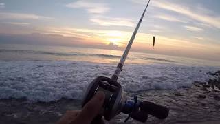 Surf Fishing the Mullet Run in Florida (ft. BlacktipH)