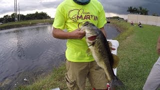 Peacock Bass, Snakeheads, Bowfin, LMB - Subscriber Fishing Tournament in Florida