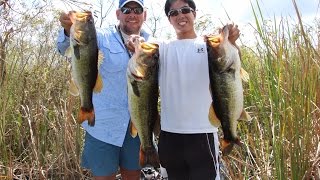 Bass Fishing the Florida Everglades with Captain Shane