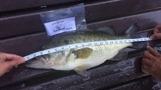 Bank Fishing Tournament - The Aidan Ford Bassmaster Classic at Centennial Lake in MD