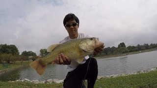 5 Lb Bass Caught from a Small Pond!!!