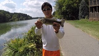 How to Properly Catch and Release a Bass by 1Rod1ReelFishing