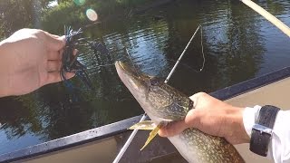 Canoe Fishing Fun  for Bass & Pike at Red Lake in NY