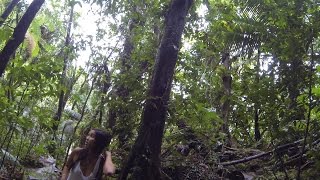 Exploring El Yunque Rainforest in Puerto Rico