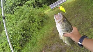 How to Fish a Squarebill Crankbait for Bass by 1Rod1ReelFishing