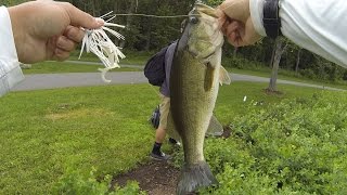 Catching Bass on Swim Jigs in Columbia, MD
