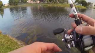 Canal Bass Fishing in FL Florida