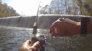 Trout Fishing Madness at the Patapsco River in MD