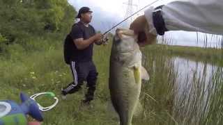 Outfished by a Crappie Angler - Pond Bassin in Ohio