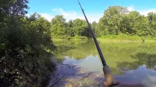 Muddy Water Pond Fishing in Ohio