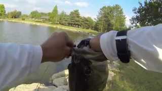 5 lb Bass Caught Pond Fishing in Dublin, OH