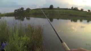 Bass Fishing at the Cable Guy's Pond