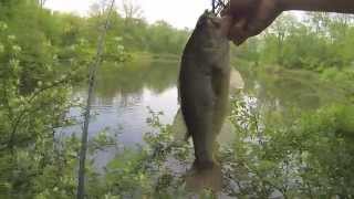 Bass Fishing in a Pond with Buzzbaits and Spinnerbaits in Ohio