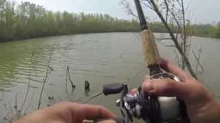 Bass Fishing at Beaver Lake, OH