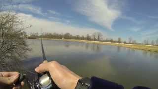 Early Prespawn Pond Bassin with Lipless Crankbaits