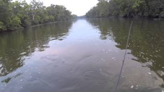 White Bass Fishing Below Griggs Dam in Ohio