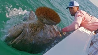 Fishing for Huge Groupers and Sharks with NBA Forward Wilson Chandler - ft. Chew On This - 4K