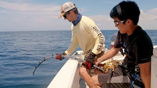 Bass Fishermen vs Goliath Groupers - ft. 1Rod1ReelFishing & LunkersTV - 4K