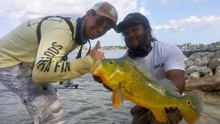 Peacock Bass Fishing in Miami - ft. Monster Mike and Southern Fin Apparel