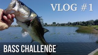 Bass Fishing Challenge! - ft. LakeForkGuy & 1Rod1ReelFishing