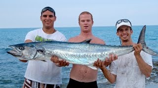 Giant Kingfish from the Beach - Epic Fishing Tales #1