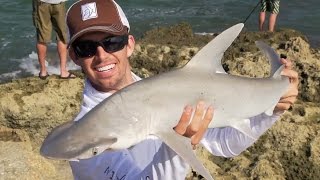 Highlights from live Shark Fishing show with Kanalgratis