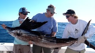 Incredible Florida Sailfish Fishing - Double Digit Day