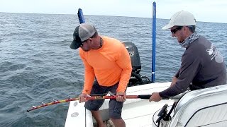 Iron Man Fishing Rod defeats Huge Bull Shark in Minutes - ft. Chew On This