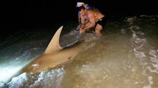 Catch and release Hammerhead Shark