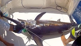 Deep Ocean Swordfish