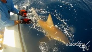 Deep Sea Fishing for Sharks