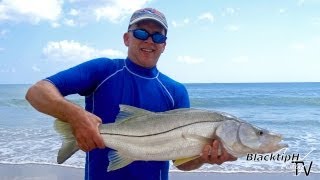 Monster Snook from the Beach