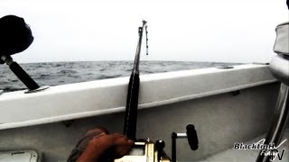 Big Game Fishing - 300+lb Grouper