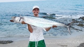 MONSTER KINGFISH FROM SHORE