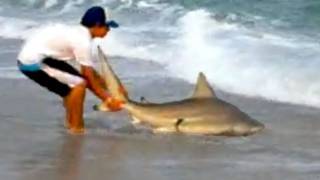 Shark Fishing on the Surf