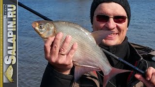 Рыбалка с фидером: Открытие сезона в апреле на Москва-реке