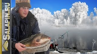 Ловля на фидер карася и сазана в экстремальный мороз (рыболовная байка) [salapinru]