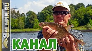 Рыбалка на канале: фидер, подлещик, начало августа [salapinru]